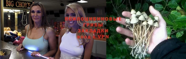 бошки Бронницы