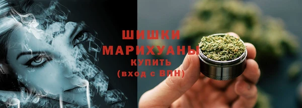 бошки Бронницы